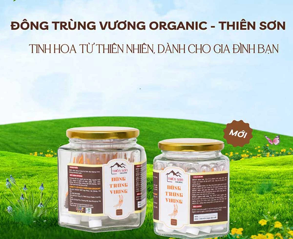 Hướng dẫn pha trà đông trùng hạ thảo thơm ngon và bổ dưỡng